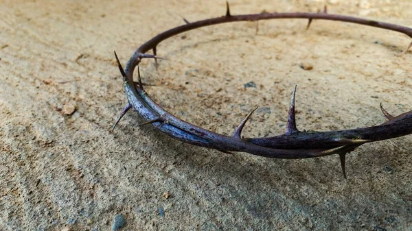 İsa 'nın dikenli tacı. Boşluk ve Paskalya kavramını kopyala