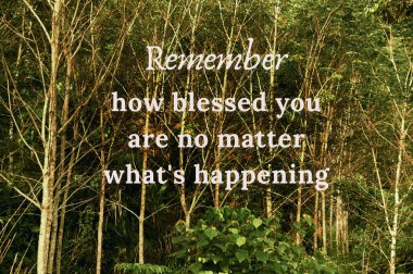 İlham verici bir alıntı, ne olursa olsun ne kadar şanslı olduğunu hatırla. Ağaçların arka planında. Motivasyon kavramı