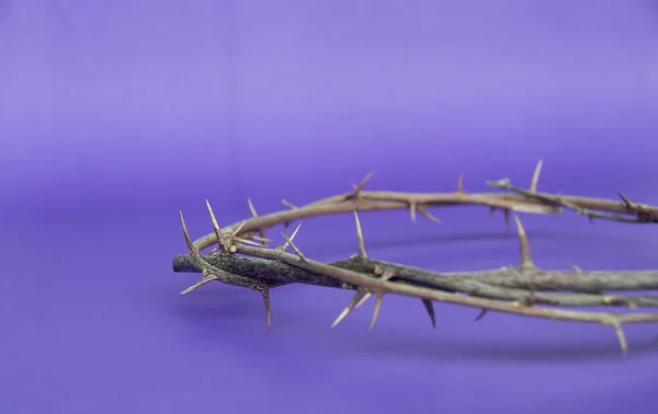 Copy space for Christian prayer text or quote with crown of thorns on purple color background. Copy space