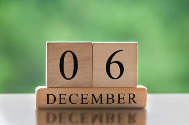 December 6 text on wooden blocks with blurred nature background. Copy space and calendar concept