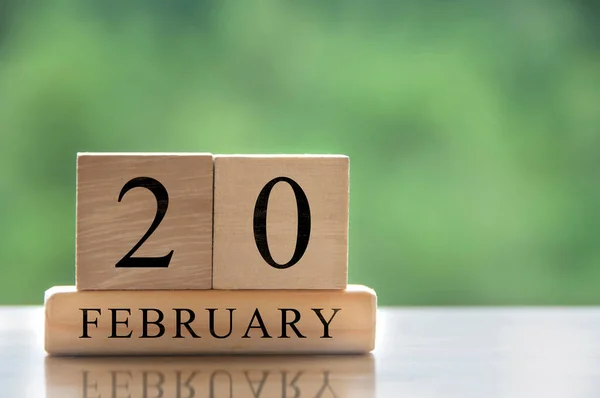 February 20 calendar date text on wooden blocks with customizable space for text or ideas. Copy space and calendar concept