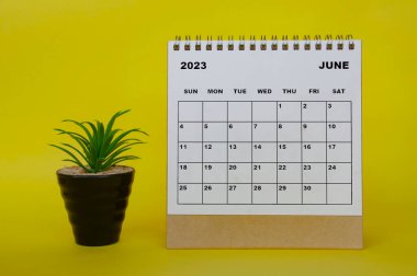 June 2023 desk calendar with table plant on yellow background. Calendar concept
