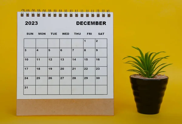 December 2023 Desk Calendar Table Plant Yellow Background Calendar Concept — Zdjęcie stockowe