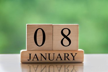January 8 calendar date text on wooden blocks with blurred background park. Copy space and calendar concept.