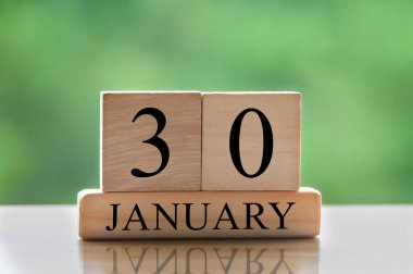 January 30 calendar date text on wooden blocks with blurred background park. Copy space and calendar concept.