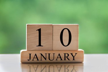 January 10 calendar date text on wooden blocks with blurred background park. Copy space and calendar concept.