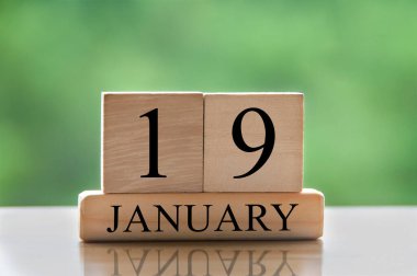 January 19 calendar date text on wooden blocks with blurred background park. Copy space and calendar concept.