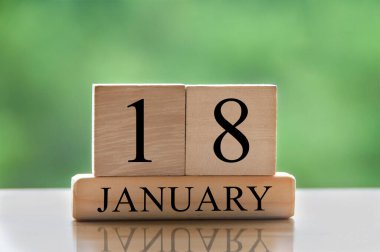 January 18 calendar date text on wooden blocks with blurred background park. Copy space and calendar concept.