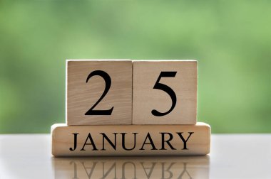 January 25 calendar date text on wooden blocks with blurred background park. Copy space and calendar concept.