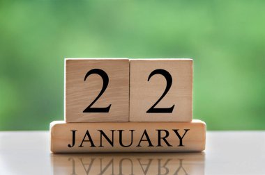 January 22 calendar date text on wooden blocks with blurred background park. Copy space and calendar concept.