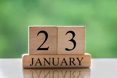 January 23 calendar date text on wooden blocks with blurred background park. Copy space and calendar concept.