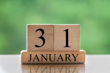 January 31 calendar date text on wooden blocks with blurred background park. Copy space and calendar concept.
