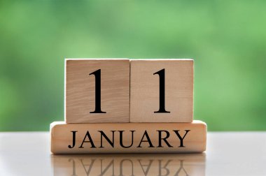 January 11 calendar date text on wooden blocks with blurred background park. Copy space and calendar concept.