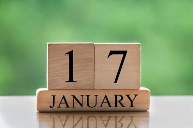January 17 calendar date text on wooden blocks with blurred background park. Copy space and calendar concept.