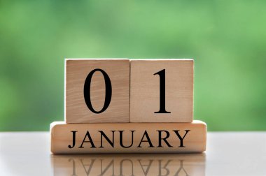 January 1 calendar date text on wooden blocks with blurred background park. Copy space and calendar concept.