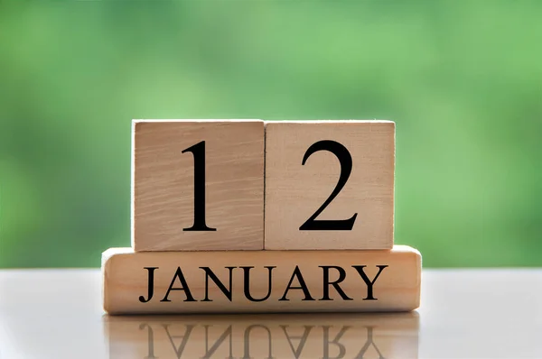 January 12 calendar date text on wooden blocks with blurred background park. Copy space and calendar concept.