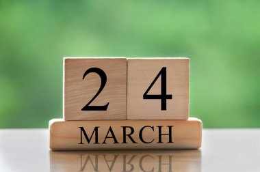 March 24 calendar date text on wooden blocks with blurred park background. Copy space and calendar concept.