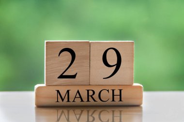 March 29 calendar date text on wooden blocks with blurred park background. Copy space and calendar concept.