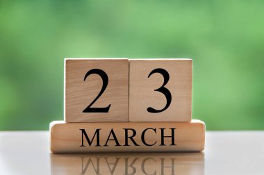 March 23 calendar date text on wooden blocks with blurred park background. Copy space and calendar concept.