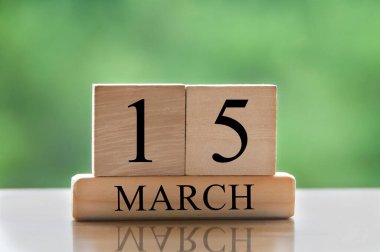March 15 calendar date text on wooden blocks with blurred park background. Copy space and calendar concept.
