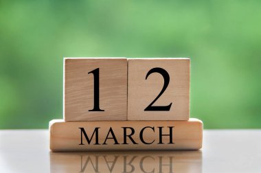 March 12 calendar date text on wooden blocks with blurred park background. Copy space and calendar concept.