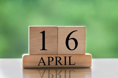 April 16 calendar date text on wooden blocks with blurred park background. Copy space and calendar concept.