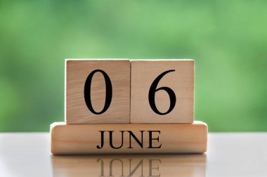 June 6 calendar date text on wooden blocks with blurred nature background. Copy space and calendar concept.