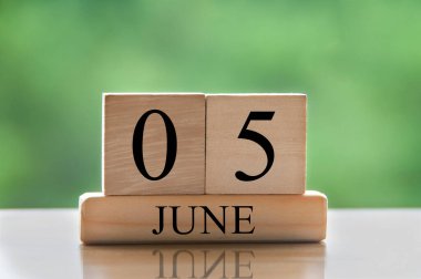 June 5 calendar date text on wooden blocks with blurred nature background. Copy space and calendar concept.