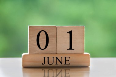 June 1 calendar date text on wooden blocks with blurred nature background. Copy space and calendar concept.