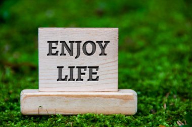 Yeşil doğa geçmişi olan tahta bloktaki hayat metninin tadını çıkar. Motivasyon kavramı.