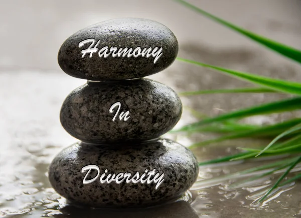 Harmony in diversity text engraved on stones. Business culture concept.