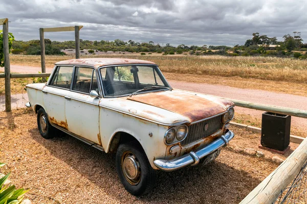 Moonta Південна Австралія Жовтня 2019 Старий Іржавий Fiat 1500 Припаркований — стокове фото
