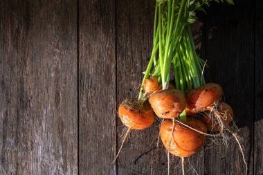 Taze bahçe yatağı ahır ahşap masada organik havuç yetiştirir.