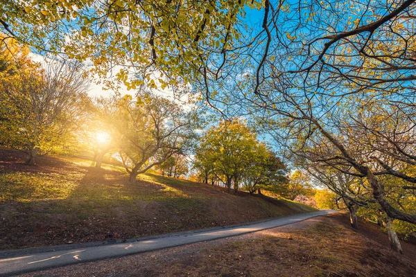 Walking Trail Mount Lofty Park Autumn Season Adelaide Hills South — Stock Photo, Image