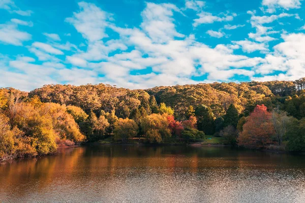 Gün batımında Lofty Dağı parkında renkli bir sonbahar sahnesi, Adelaide Hills, Güney Avustralya