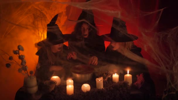 Three Young Girls Dressed Witch Outfit Conjuring Witch Cauldron Elder — Stockvideo