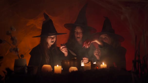 Room Shrouded Cobwebs Three Young Witches Sitting Ritual Cauldron Brew — Stock Video