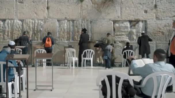 Jerusalem Israel February 2022 Western Wall Square Jewish People Pray — Wideo stockowe