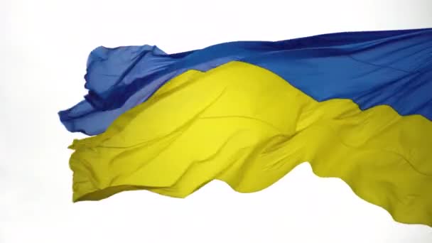 Flag National Blue Yellow Colors Ukraine Flies White Background Close — Wideo stockowe
