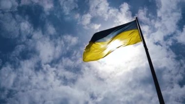 Rüzgar, Ukrayna bayrağını derin mavi gökyüzünün arka planına doğru sallıyor. Güneş ışınları yüksek detaylı dokuyla kumaştan parlar. Ulusal mavi sarı renkli Ukrayna bayrağı