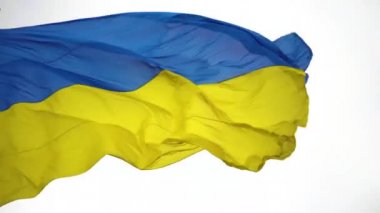 Beyaz arka planda Ukrayna 'nın ulusal mavi-sarı renklerine sahip bir bayrak dalgalanır. Yakın plan.