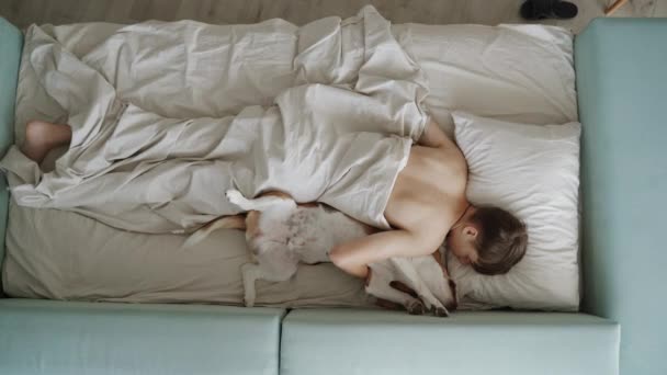 Teenager Sleeps His Dog Bed Dog Lying Its Back Looks — Wideo stockowe