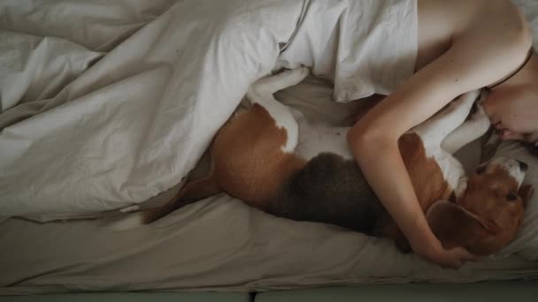 Camera Pans Head Toe Teenager Sleeps His Dog Bed Looks — Vídeo de Stock