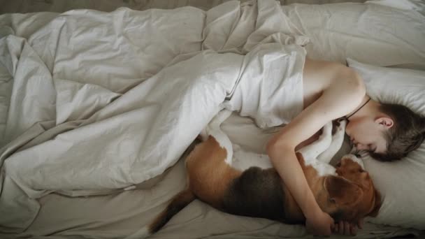 Teenager Sleeps His Dog Bed Looking Very Cute Dog Man — Stock videók