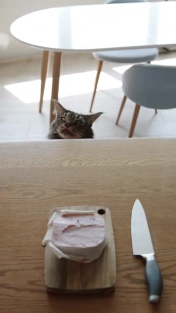 Cat Looks Out Table Passionately Sniffs Large Piece Meat Left — Vídeos de Stock