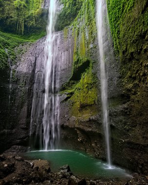 Hava Terjun Madakaripura Şelalesi Probollingo, Doğu Java, Endonezya