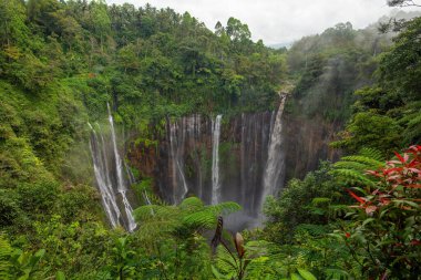 Tumpak Sewu, Endonezya 'nın Doğu Java kentinde yer alan bir şelaledir.