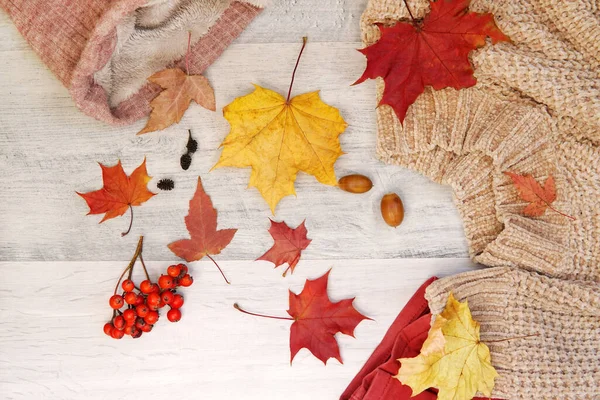 Ropa Cálida Otoño Suéter Bufanda Con Hojas Arce —  Fotos de Stock