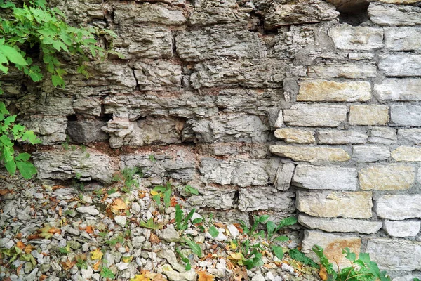 Pared Destruida Con Hierba Piedras Ladrillos — Foto de Stock