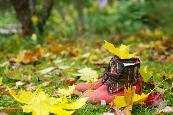 Sapatos Infantis Vermelhos Grama Com Folhagem Caída Folhas Bordo — Fotografia de Stock